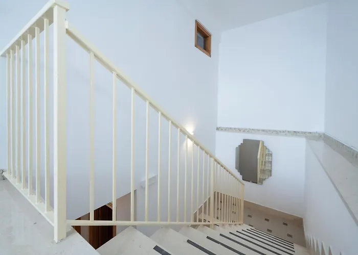 Rosy By Wonder Tour *